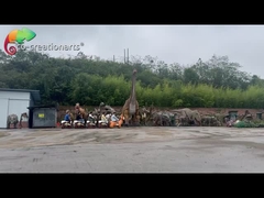 Los niños juegan resistencia a las inclemencias del tiempo sin rieles del coche de tren del parque de atracciones del equipo