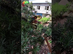 Marioneta Animatronic del dinosaurio del dinosaurio del equipo impermeable del patio para Dino Park