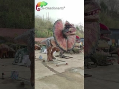 Dilophosaurus Animatrónico de Fábrica Tamaño Real Parque de Atracciones Dinosaurio Animatrónico Dilophosaurus