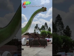 Modelos Animatronic de tamaño natural del Brachiosaurus de los dinosaurios el 12m de la simulación de fichas