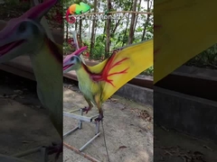 Equipo Animatronic del patio de Pterosaur del dinosaurio realista del ISO 110VAC