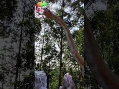 Brachiosaurus de Sunproof el 15M Giant Animatronic Dinosaur Jurassic Park Animatronic