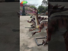 Modelo realista personalizado del dinosaurio de la reproducción Animatronic de la fibra de vidrio del arreglo para requisitos particulares