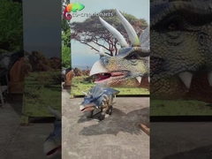Trío de Triceratops Animatrónico Realista: Grupo rugiente con movimiento dinámico y pantalla prehistórica