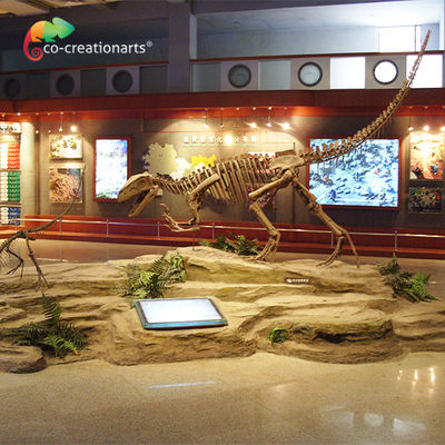 comprar Cráneo esquelético del Gasosaurus del dinosaurio de la resina de Sunproof online manufacture