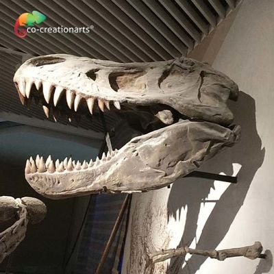 comprar Simulación esquelética de la reproducción T Rex Skeleton Head High del dinosaurio artístico realista del CE online manufacture