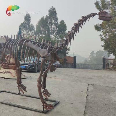 Comprar Réplica de esqueleto de dinosaurio CE, esqueleto de Shunosaurus resistente al clima Fabricación en línea