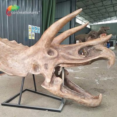 Cráneo de tamaño natural fósil del Triceratops de la reproducción esquelética del dinosaurio del hidrófugo del ISO