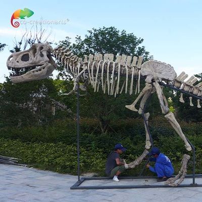 hidrófugo de las reproducciones T Rex Skull del dinosaurio de la calidad del museo de la longitud el 15m