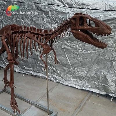 Reproducciones personalizadas T Rex Skull Replica del hueso de dinosaurio del arreglo para requisitos particulares