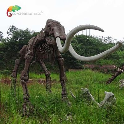 comprar modelo animal del Mammuthus de los esqueletos de la reproducción real del tamaño del reistance del tiempo online manufacture