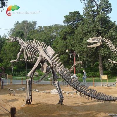 Un buen precio. Esqueleto de tamaño natural del Hadrosaurus de la reproducción del cráneo del dinosaurio de la fibra de vidrio antienvejecedor en línea
