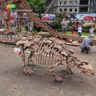Un buen precio. Reproducción esquelética Sunproof de tamaño natural del dinosaurio de la decoración del parque en línea