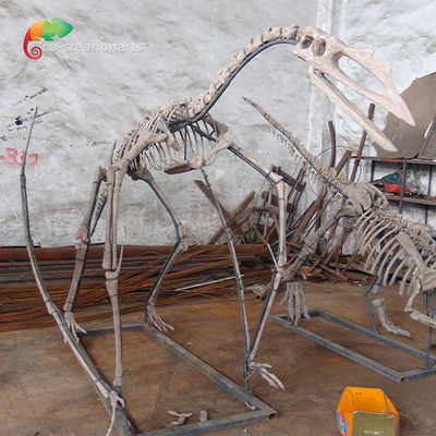 comprar Esqueleto esquelético de Quetzalcoatlus del dinosaurio de la resina de la exposición del museo adaptable online manufacture