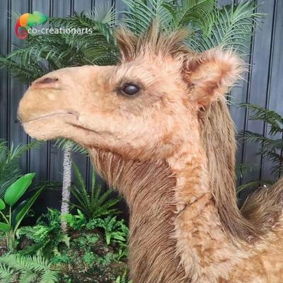 El camello modificado para requisitos particulares los animales Animatronic realistas artificiales del tamaño controló remotamente