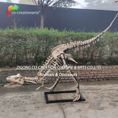 Un buen precio. Decoración exterior muy detallada Esqueleto de dinosaurio de resina Esqueleto de T-Rex en línea