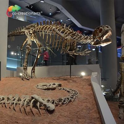 Un buen precio. landscape decoration Outdoor Yangchuanosaurus Skeleton Dinosaur Replica Fossil en línea